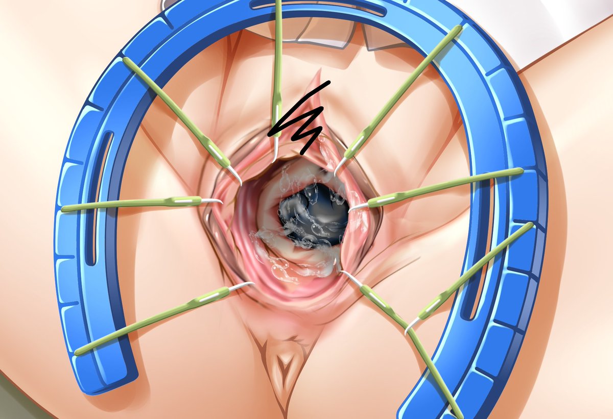 友屋勘九郎 【成人向（18禁）】 tweet media