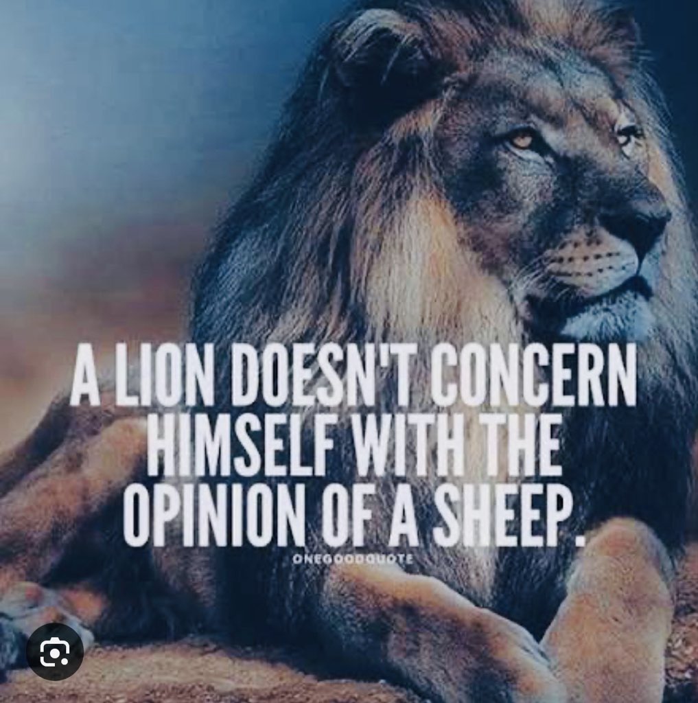 VV Jackrabbit Football tweet media