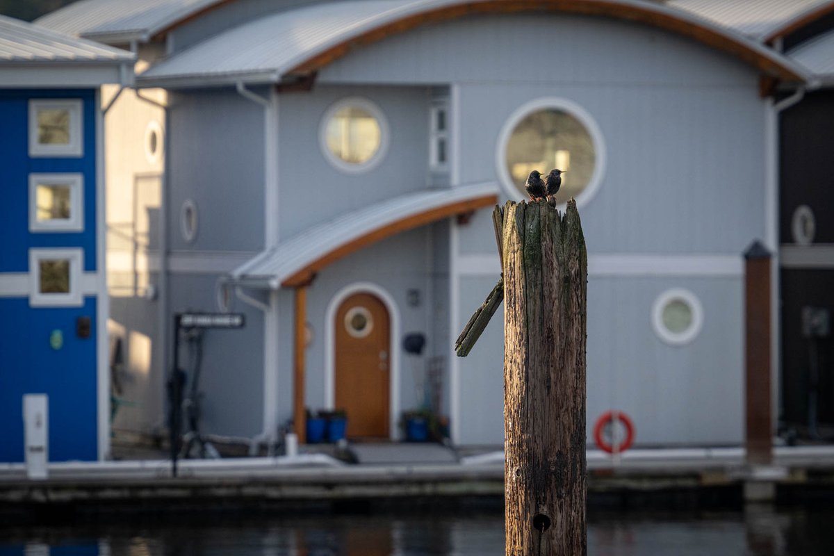 Mark Teasdale ★ tweet media