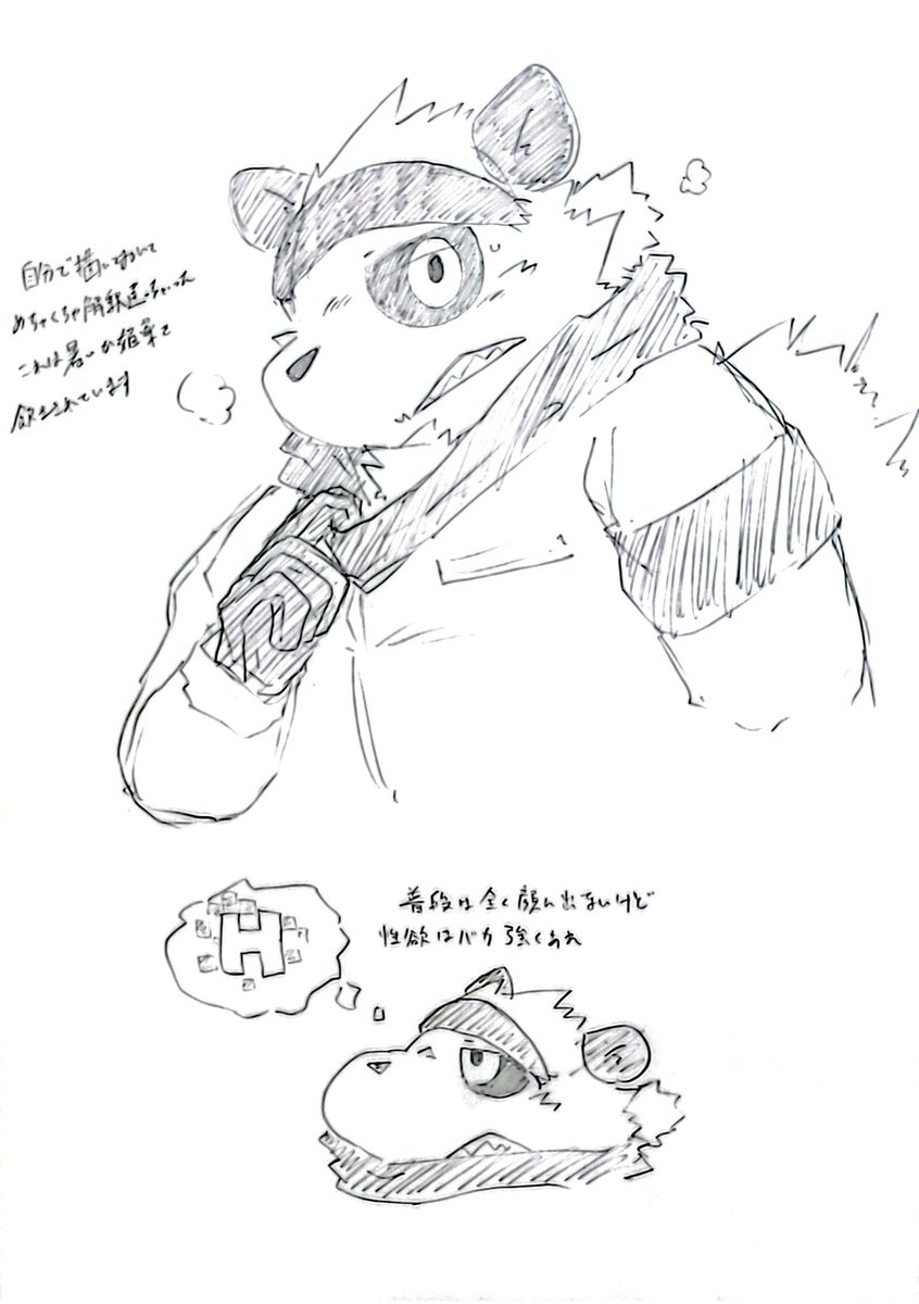 うちの子パンダ 描けば描くほど解釈が難しいぜ 