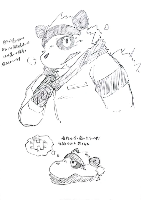 うちの子パンダ 描けば描くほど解釈が難しいぜ 