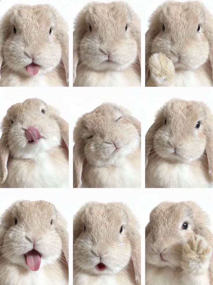 atenea 🌴 byler au tweet media