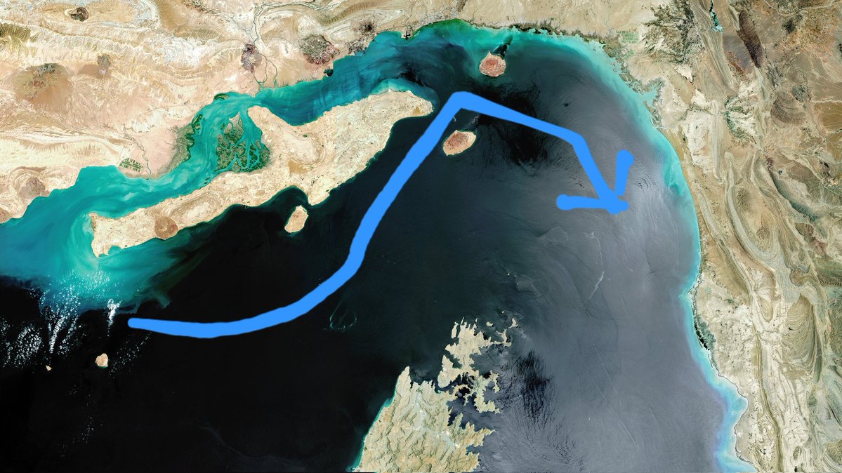 Ectothrix tweet media