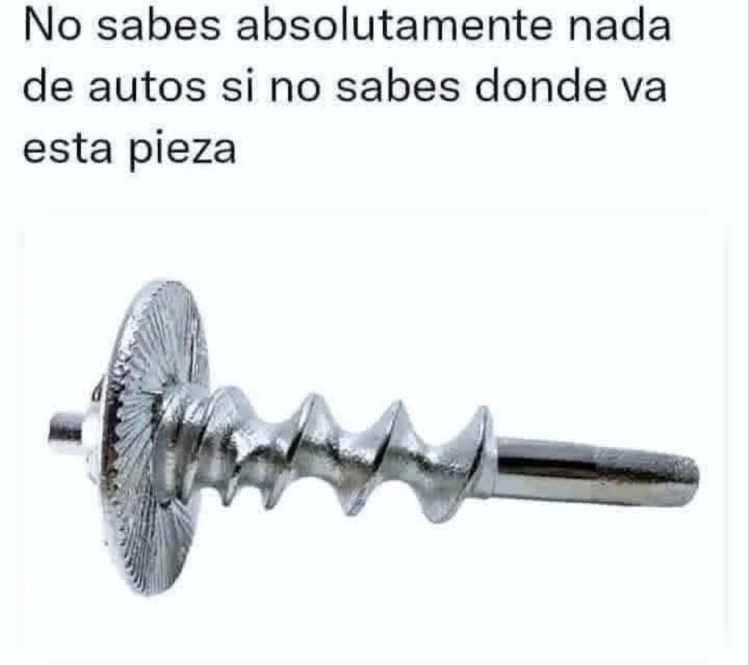 Marcela Quintero tweet media