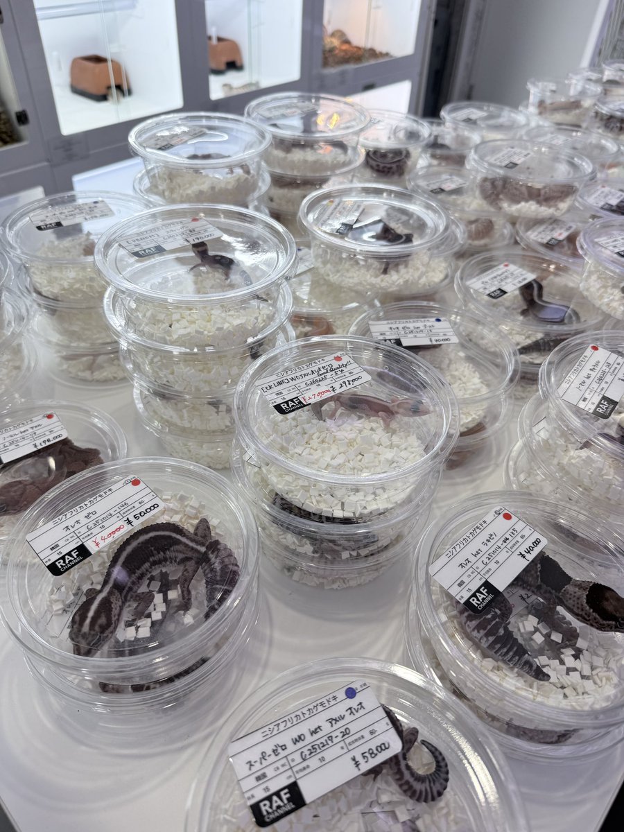 The Origin tweet media