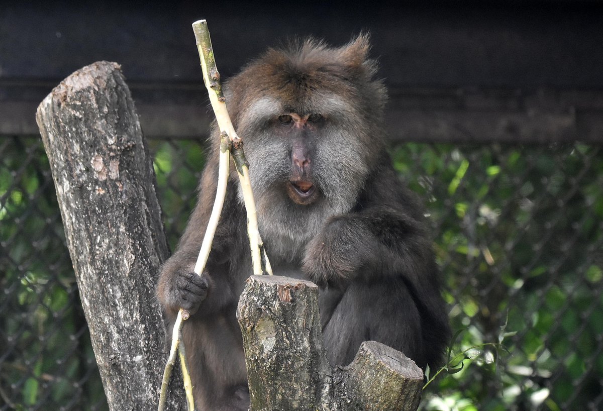 さっちゃん tweet media