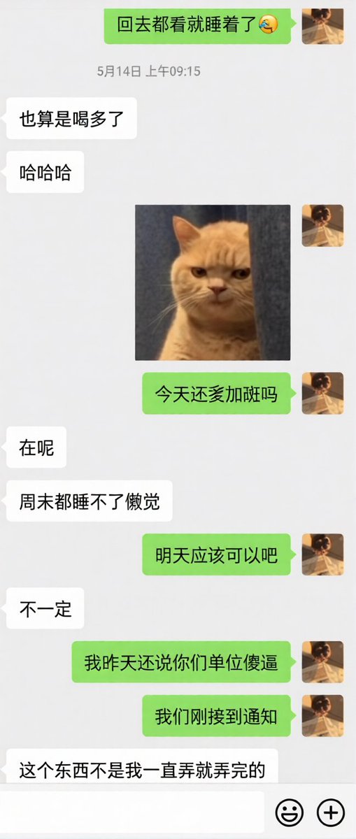 荣爷调教(接试探) tweet media