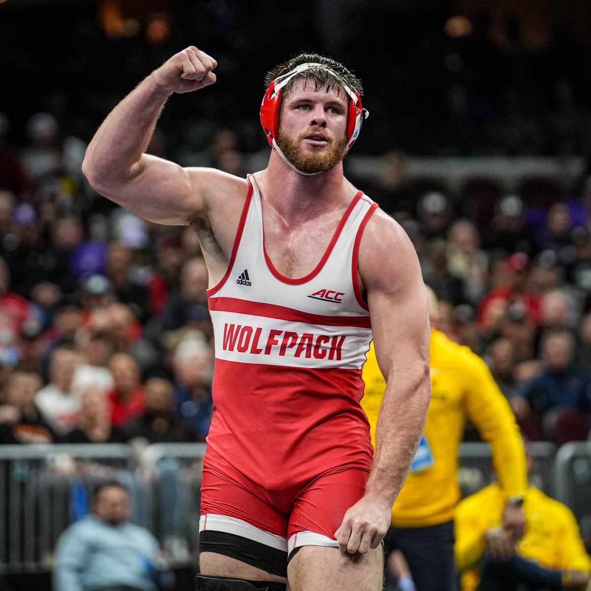 NEwrestle tweet media