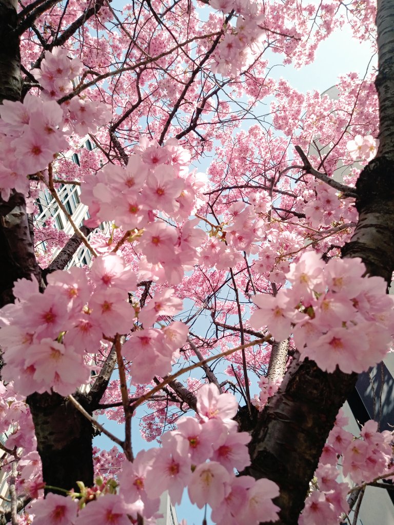 江崎　典利 tweet media