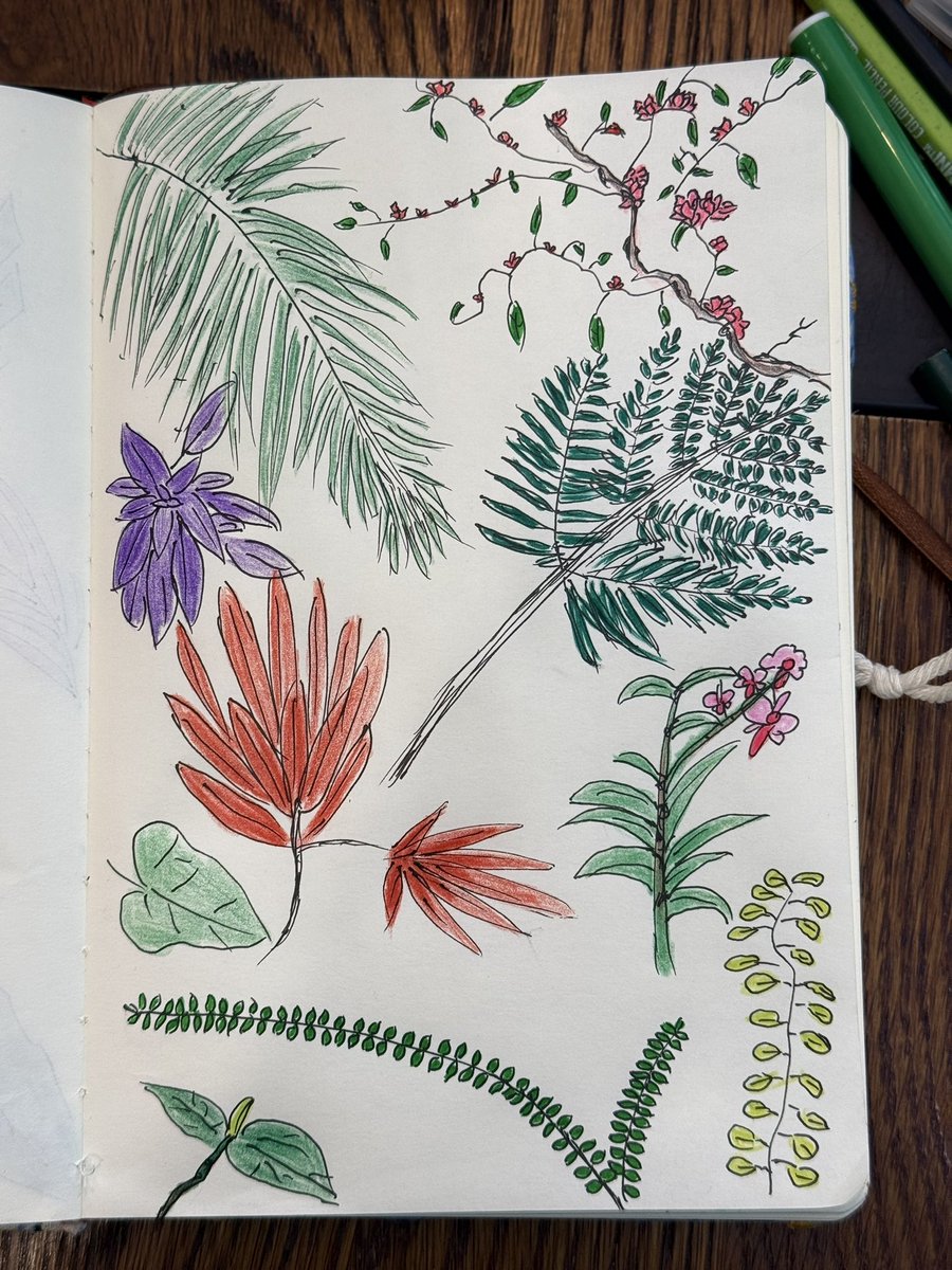 BoraBora tweet media