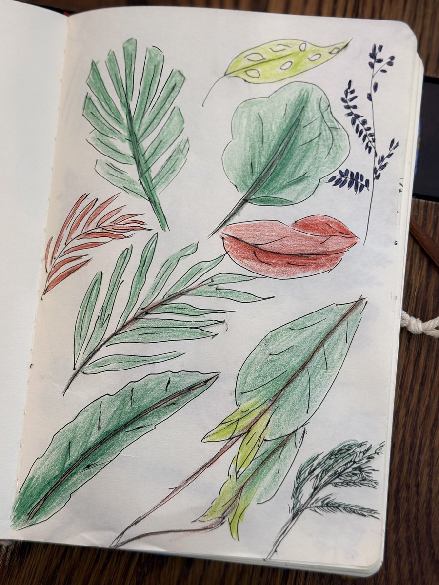 BoraBora tweet media