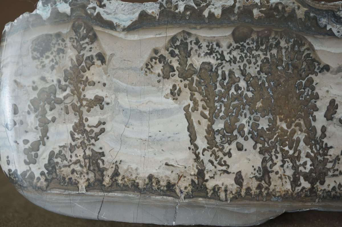 叙景 jokei 鉱物 / 風景石 / 化石 /水石 tweet media