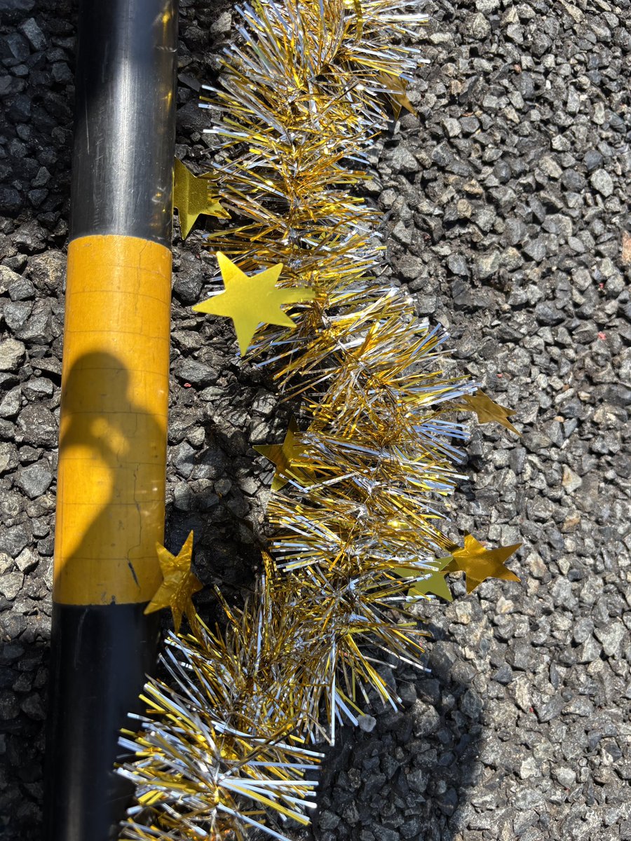 ほしぞー☆パイセン🦍🍌 tweet media