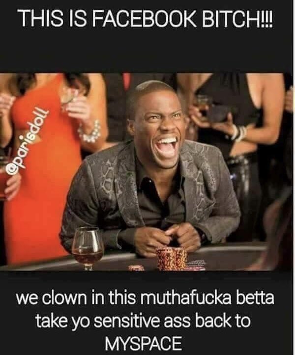 Gnomes Are Real tweet media