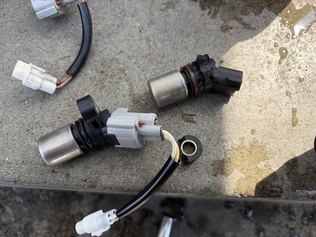 ゆうひ tweet media