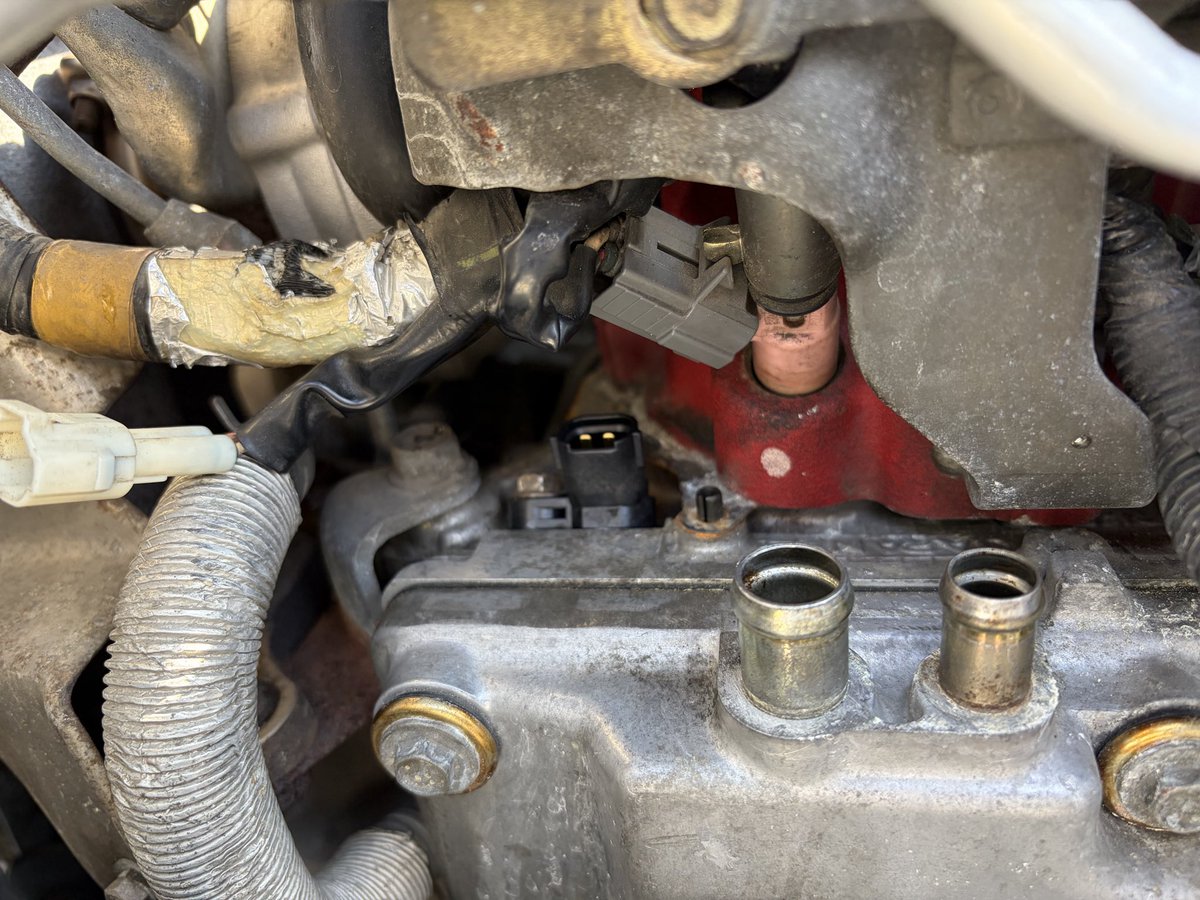 ゆうひ tweet media