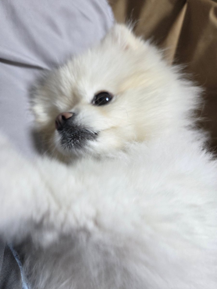 PARK SOHYUN UPDATES tweet media