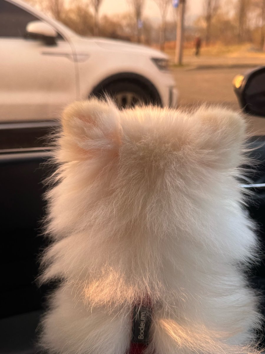 PARK SOHYUN UPDATES tweet media