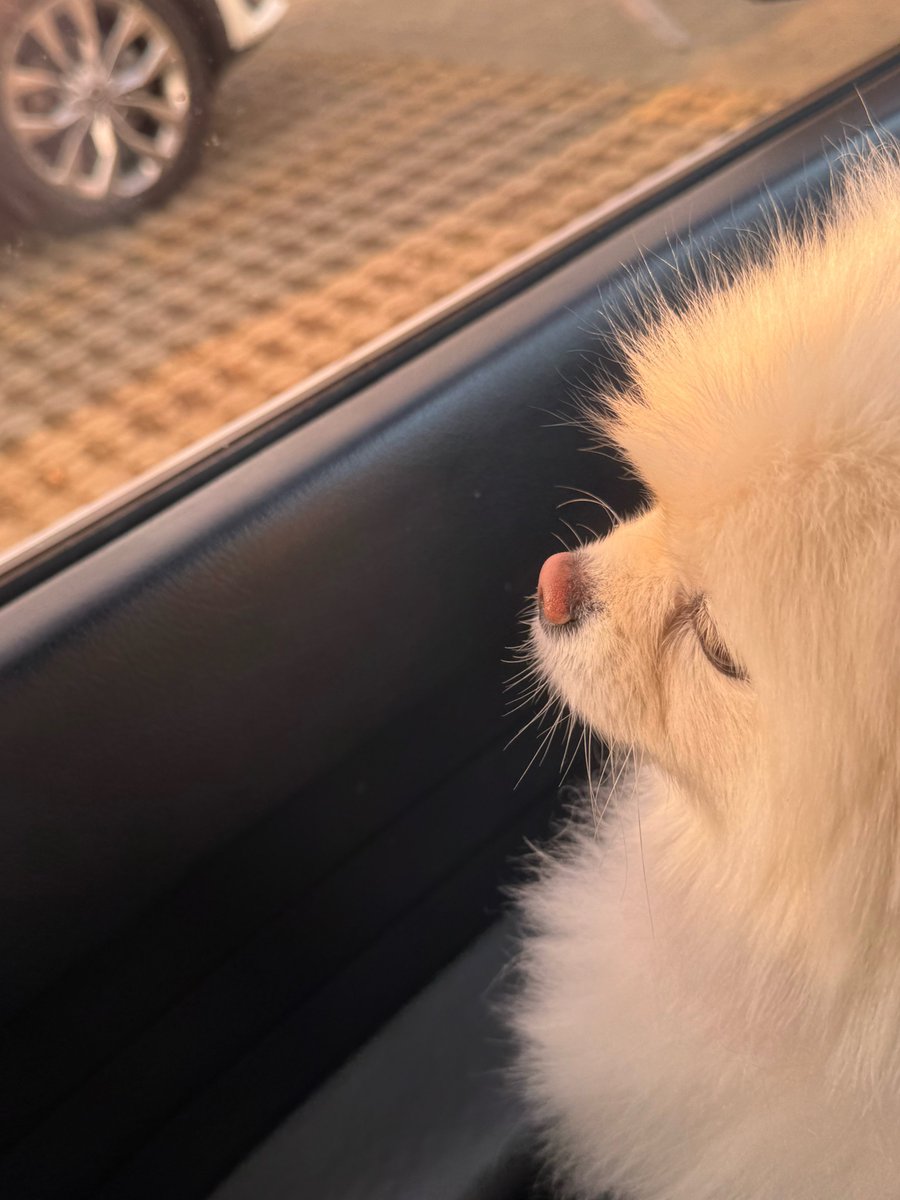 PARK SOHYUN UPDATES tweet media