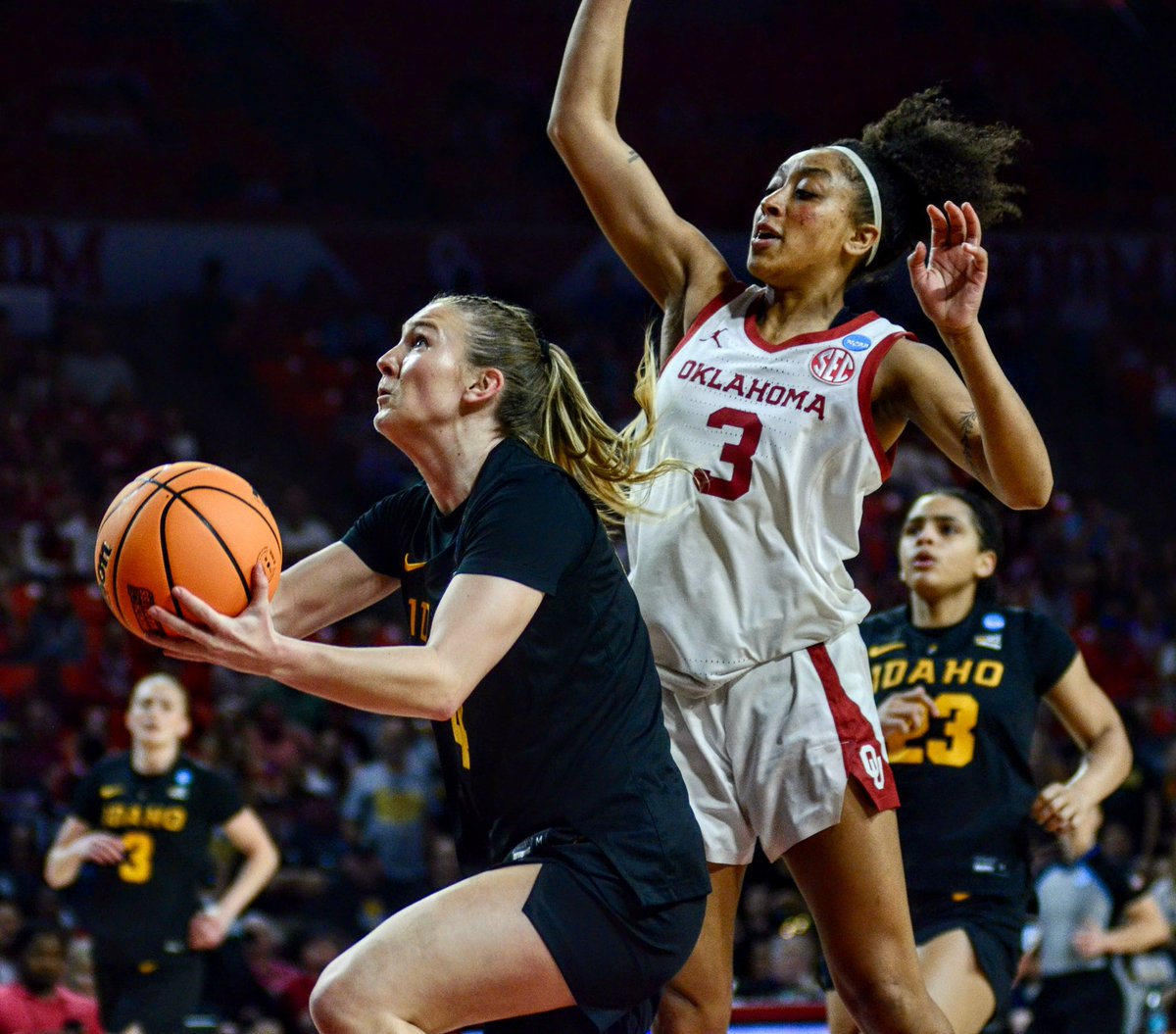 Carson Field tweet media