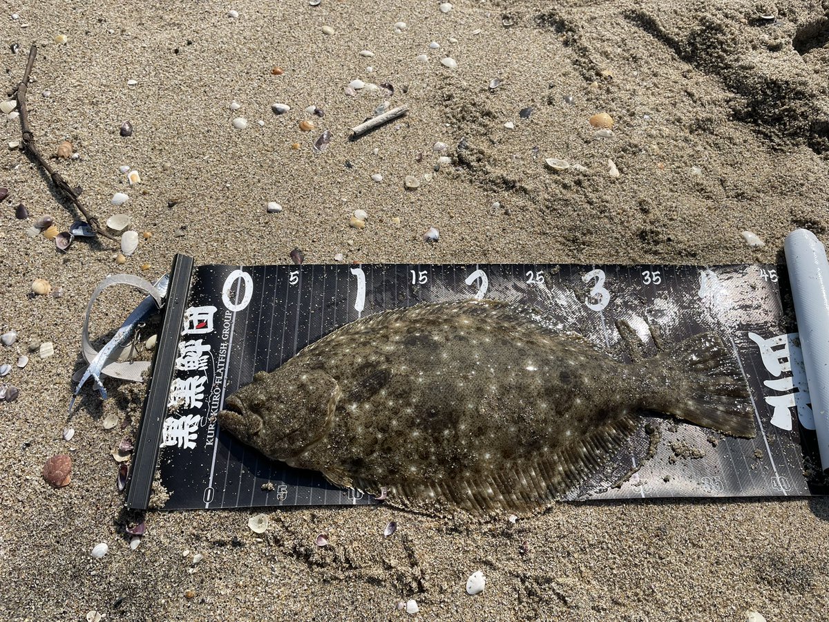 mino2222 tweet media