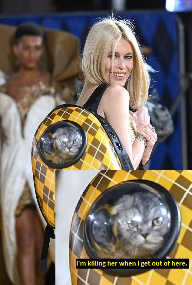 Spill The Memes tweet media