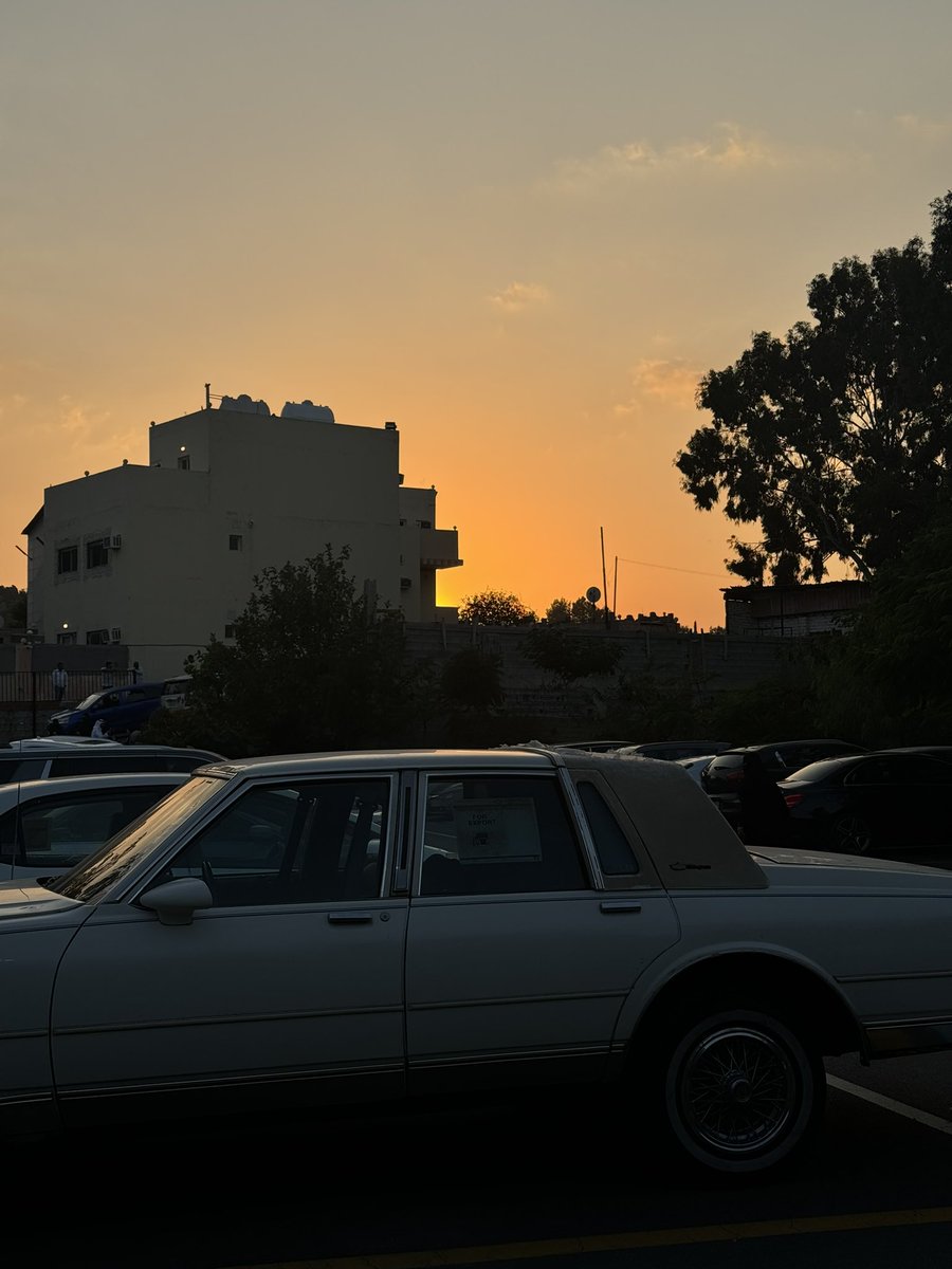 Manar🪄 tweet media