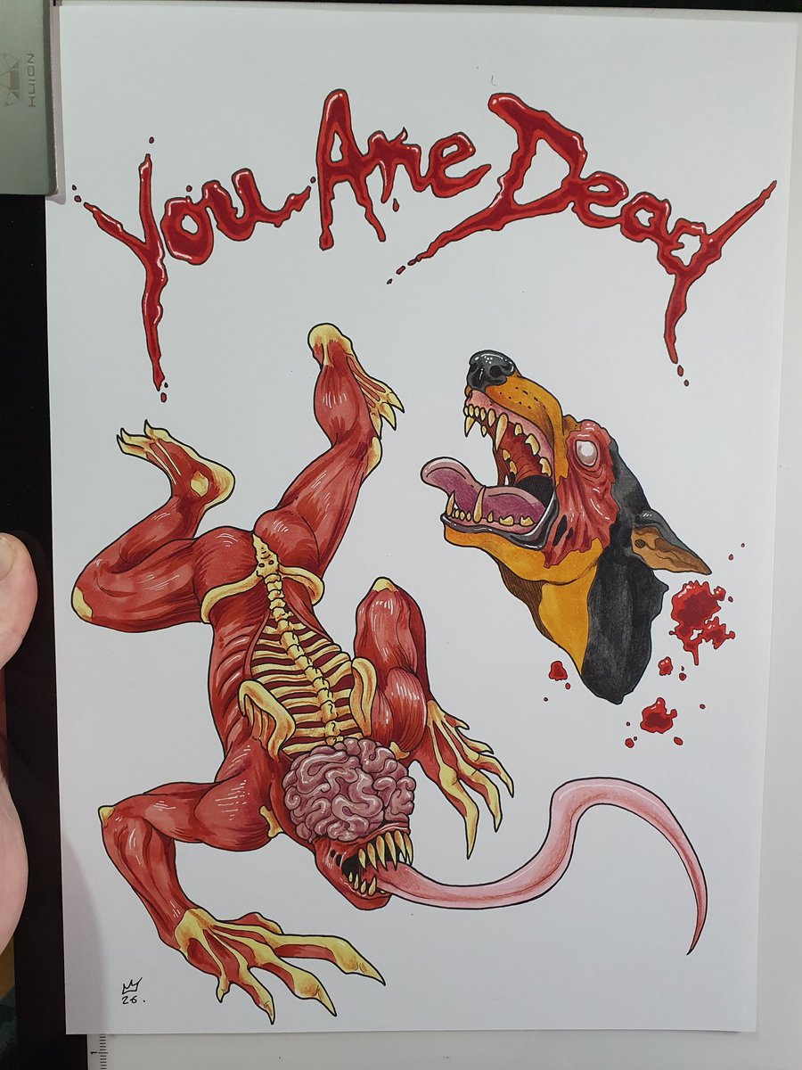 Jack 🐬 tweet media