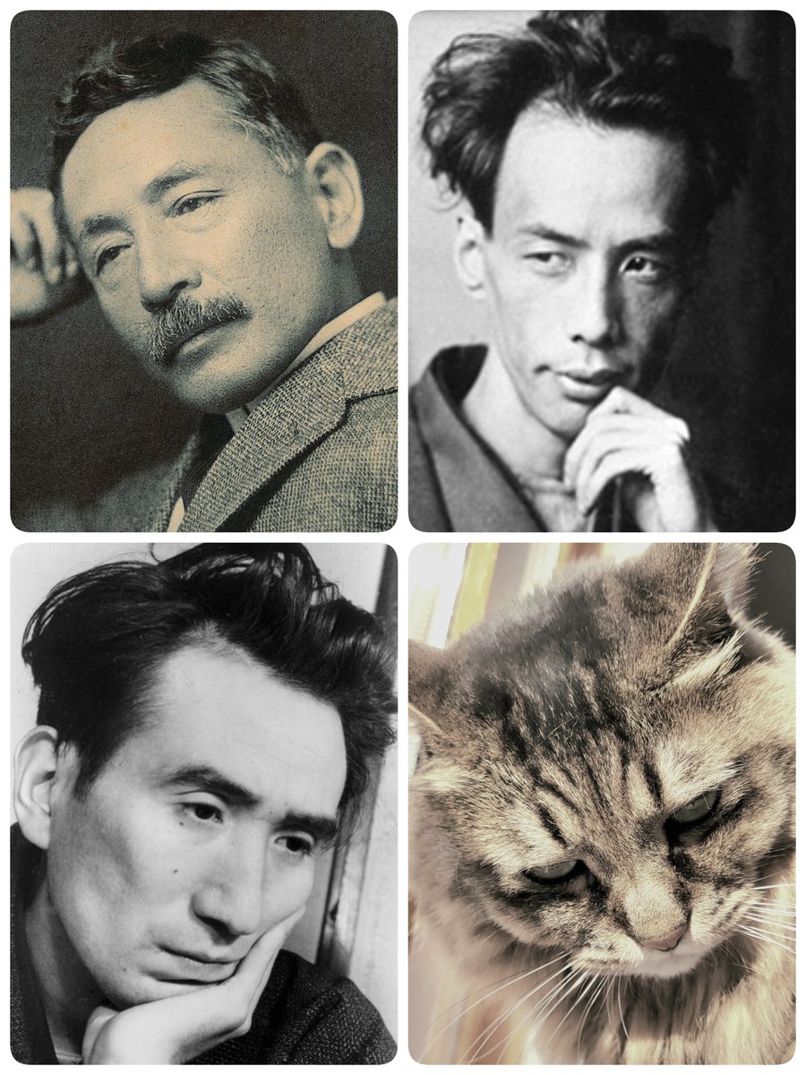 たぬ@雪の日にやって来た迷い猫 tweet media