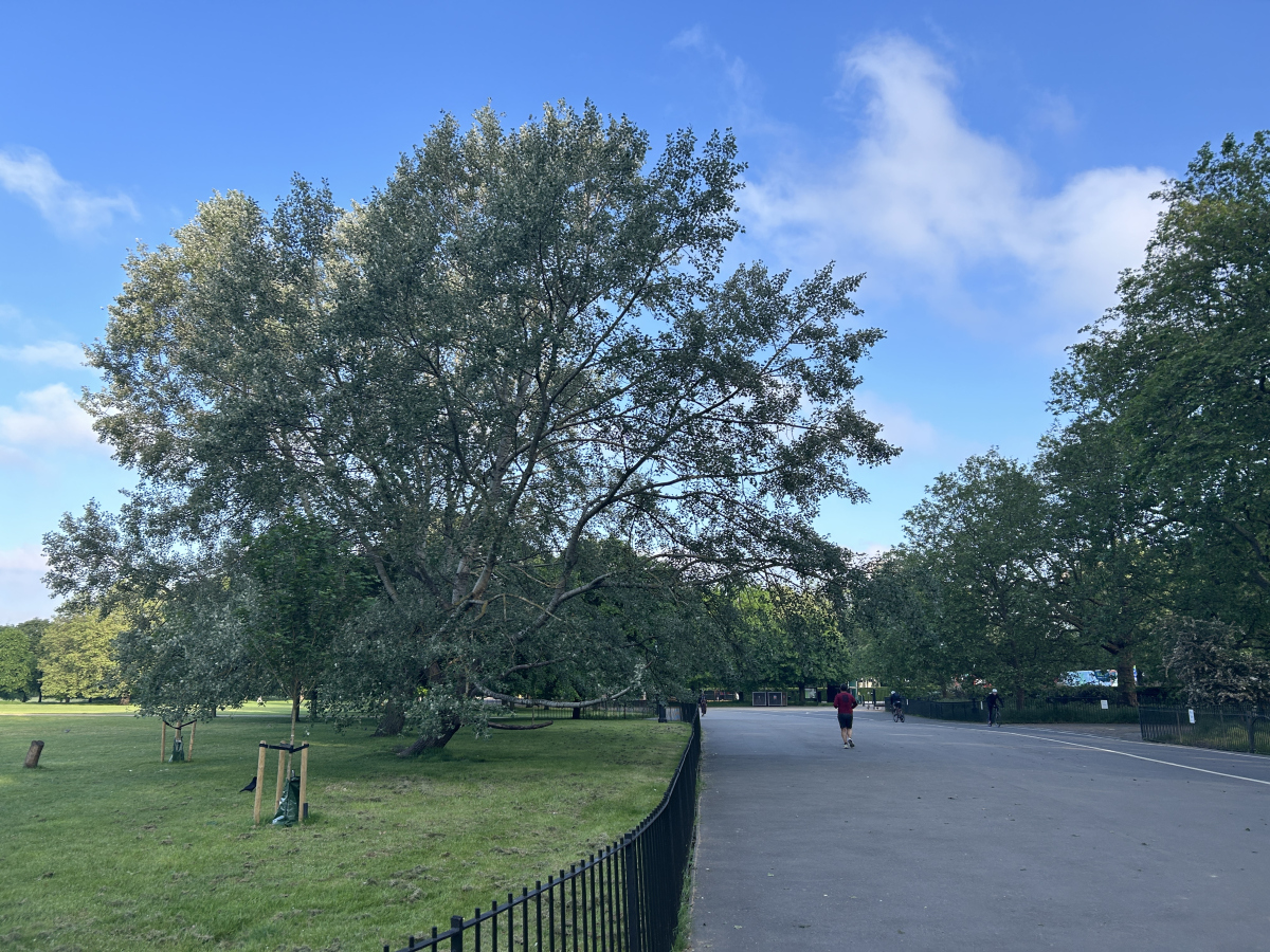 Таня tweet media