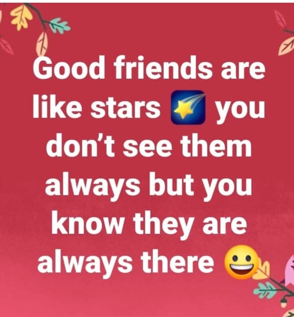 Ms.Gemini tweet media