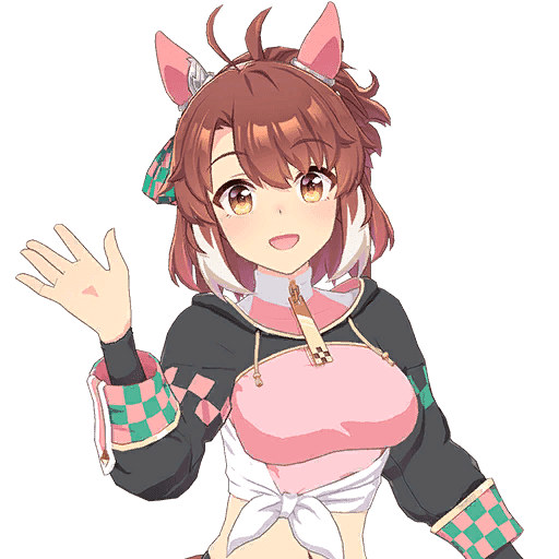 Dumbass Jungle Pocket tweet media