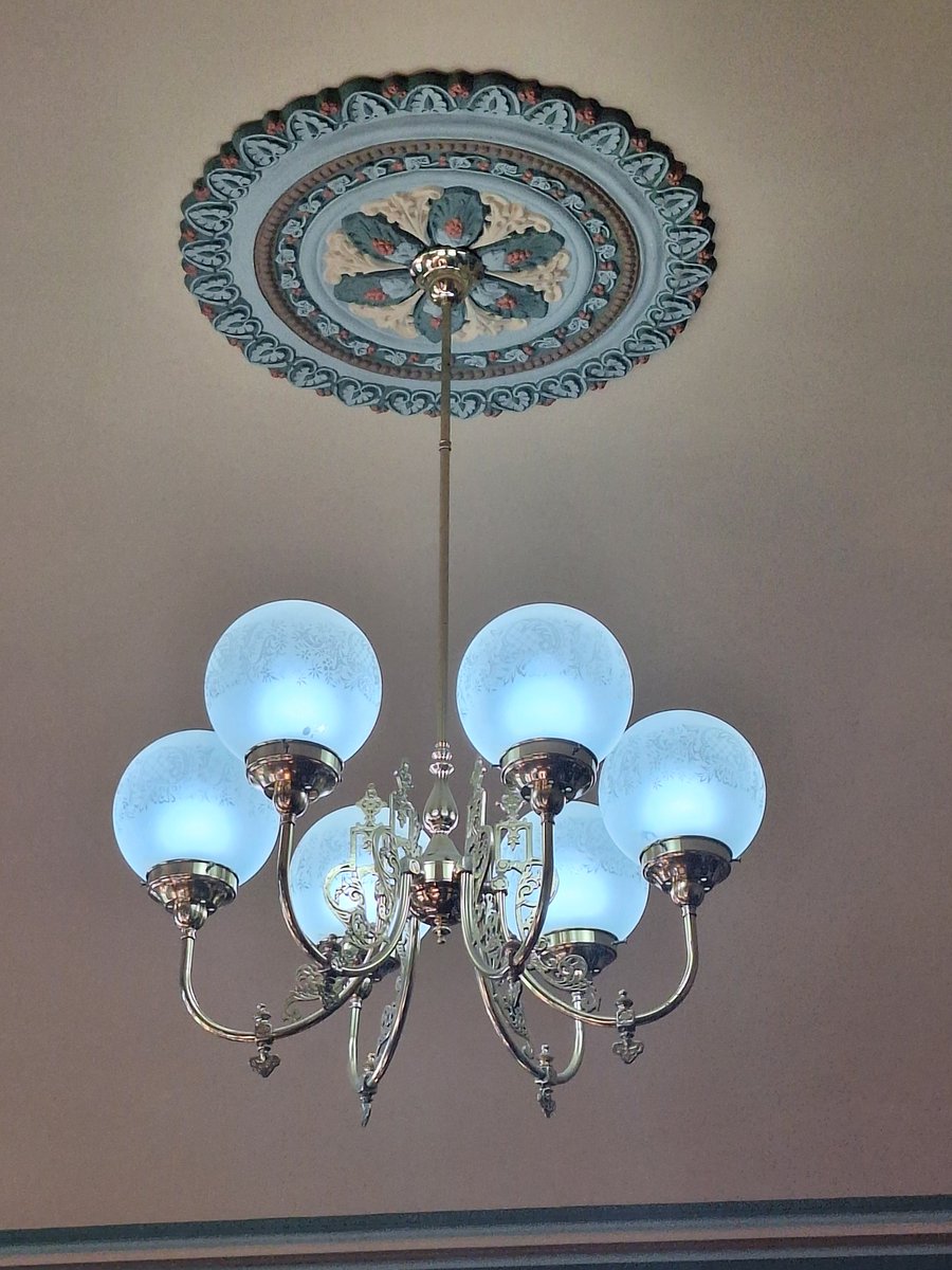 Sue C 🐯 tweet media