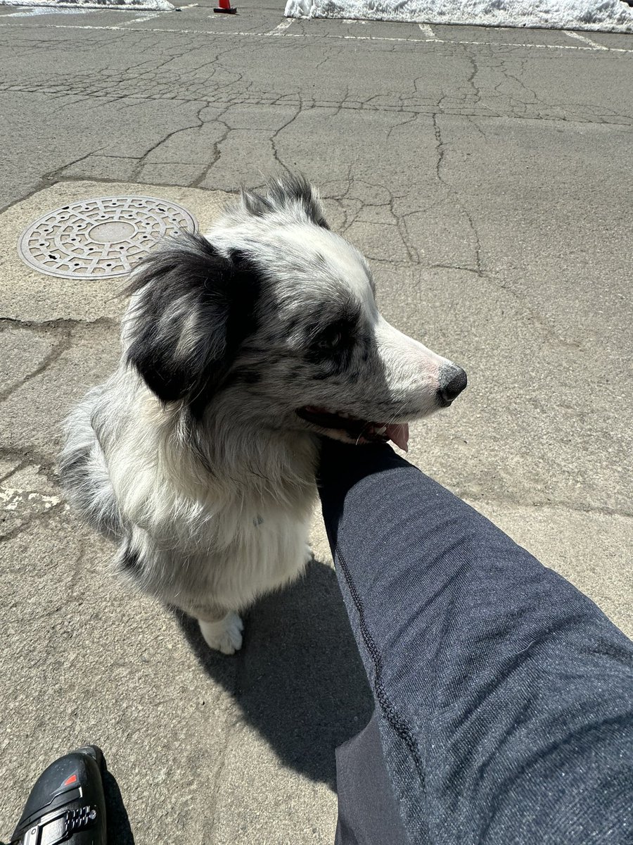 あさひ@ 4月4-5ソロ tweet media