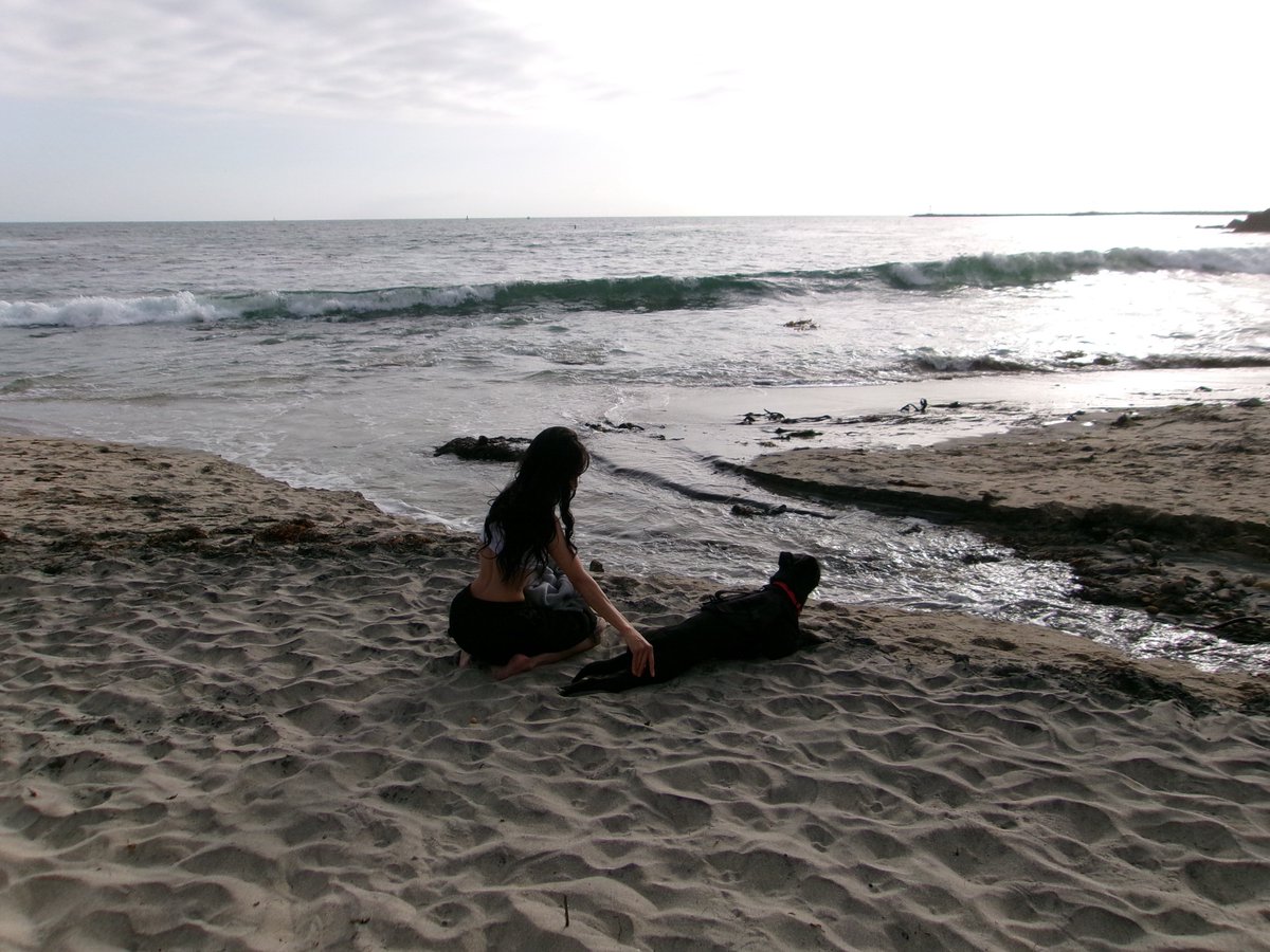 s ₊˚⊹ ᰔ tweet media