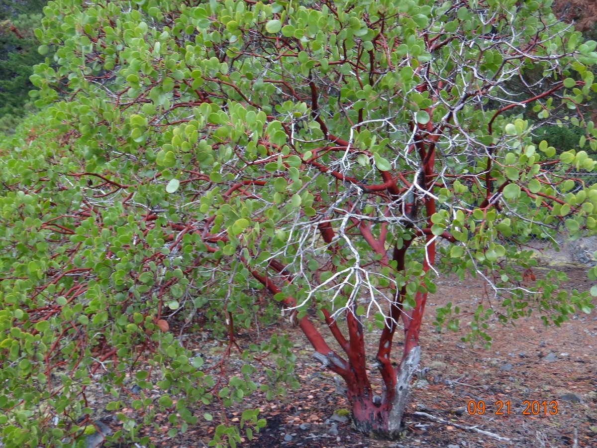 egg 🇵🇸 tweet media