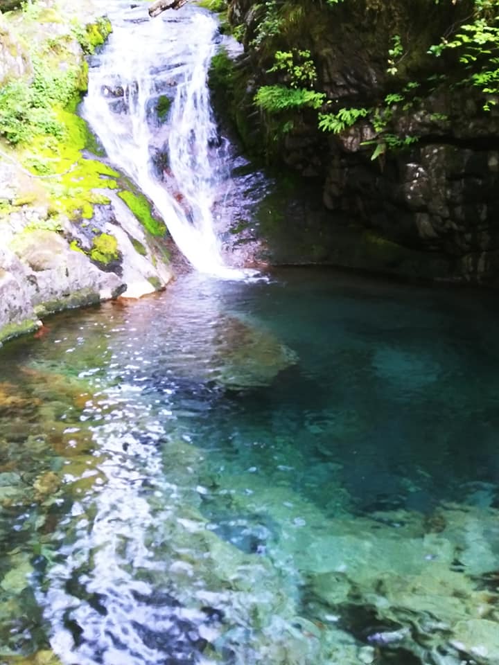 egg 🇵🇸 tweet media