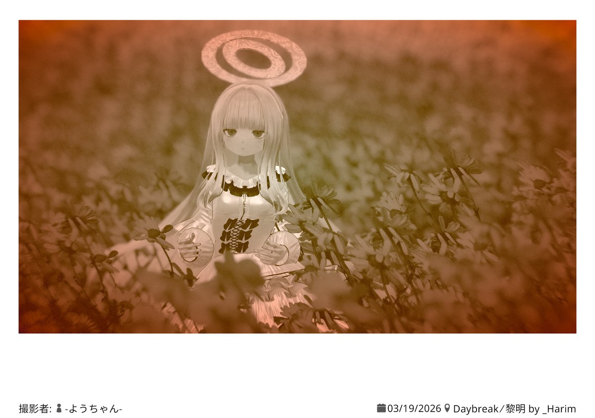 Piton137 tweet media