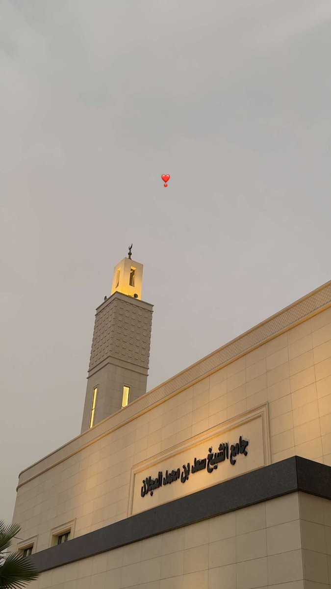 𝑅𝑎𝑤𝑎𝑛🤍🌱. tweet media