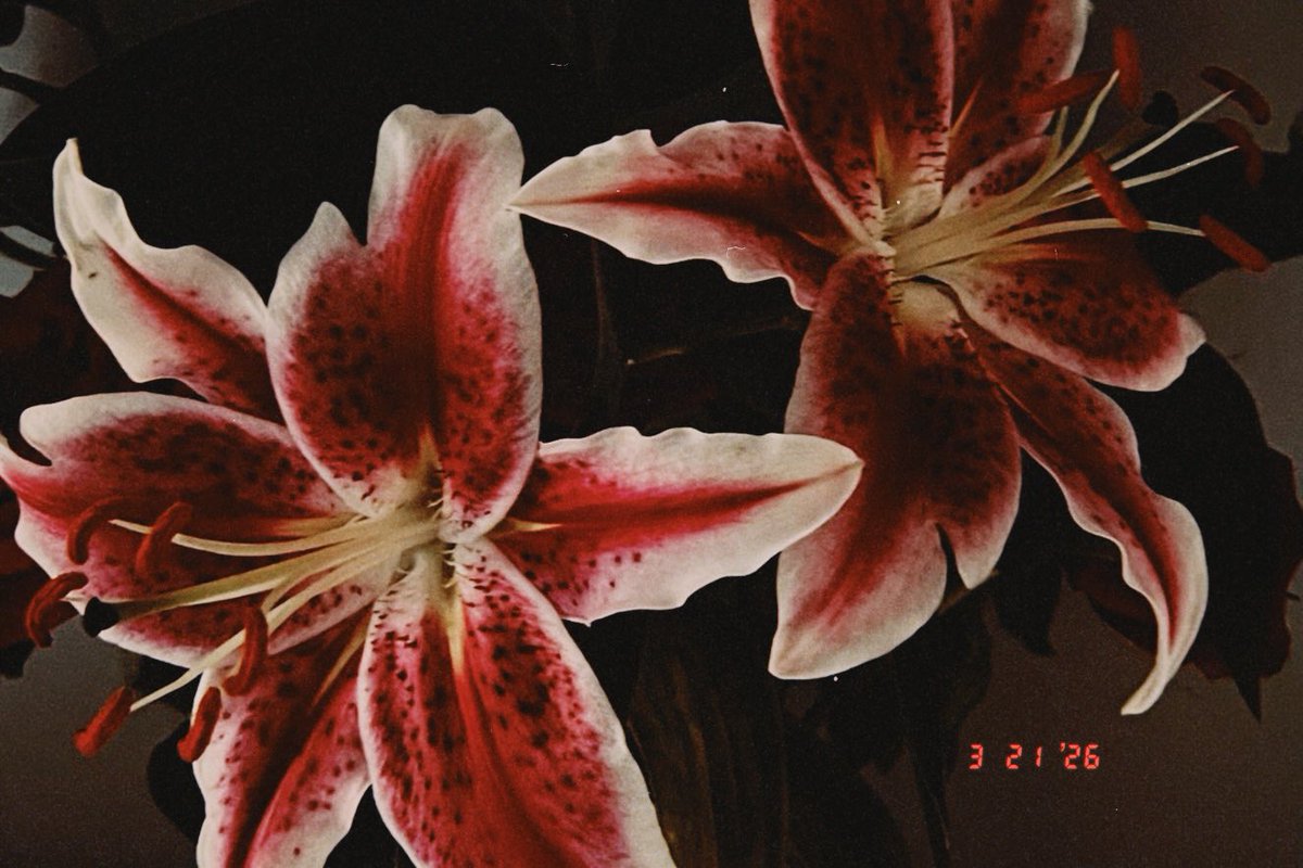 ✩ feza camaba FMIPA UI ²⁶ | free tag tweet media