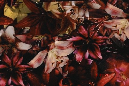 ✩ feza camaba FMIPA UI ²⁶ | free tag tweet media