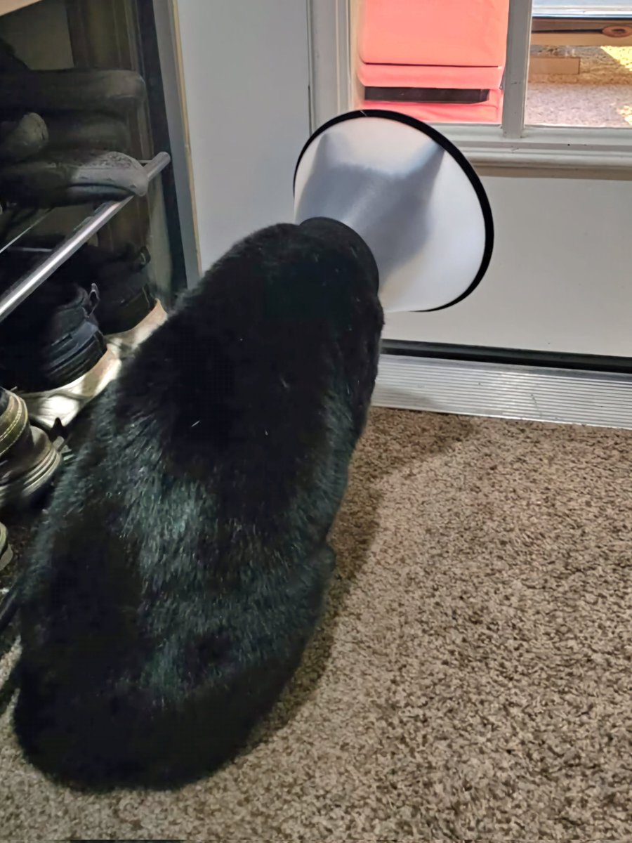 Adrienne & Rugie tweet media