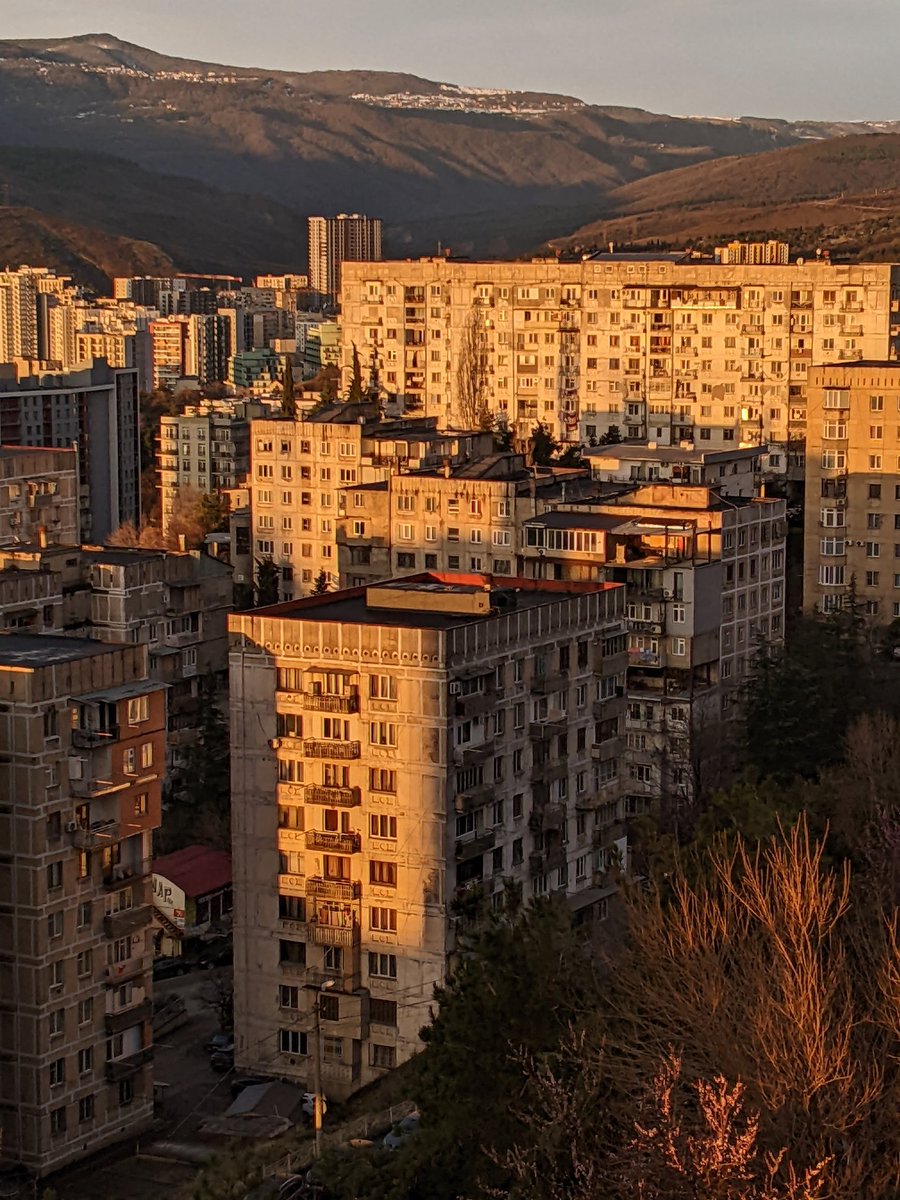 Georgia Pictures 🇺🇦 tweet media