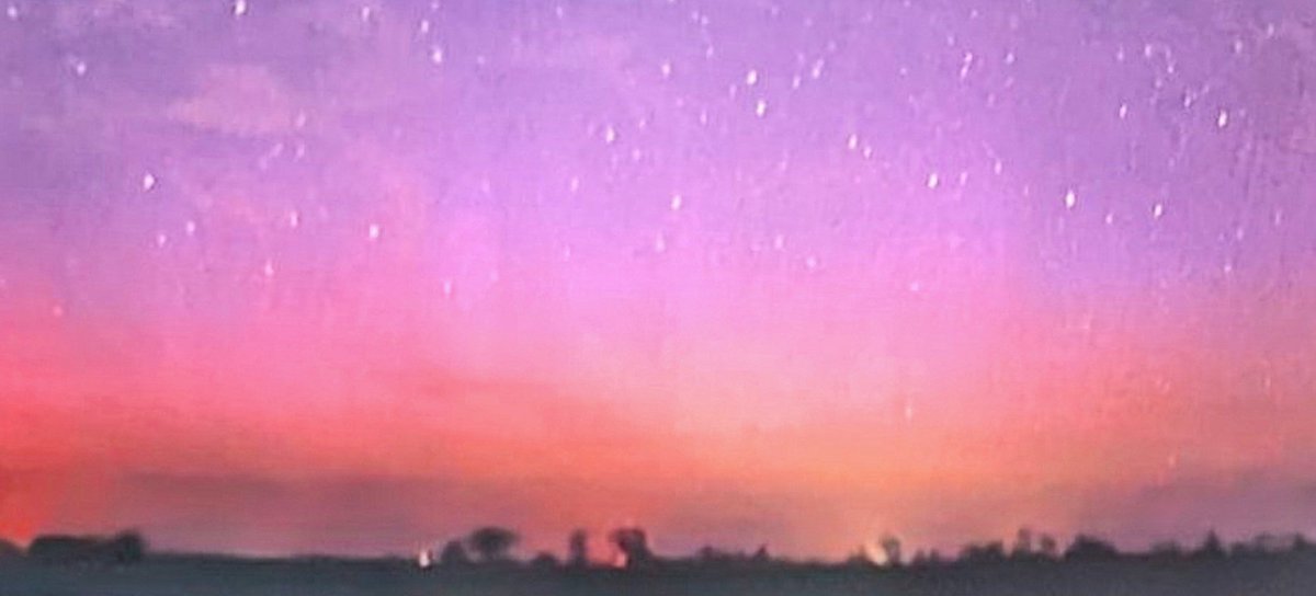 Dr. Tamitha Skov tweet media