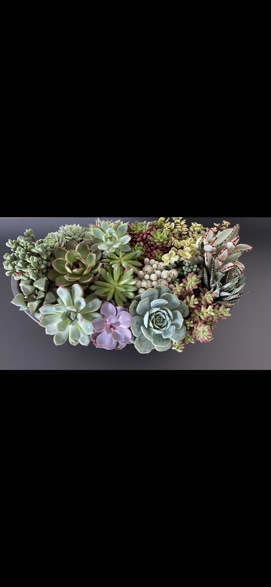 Danny cheng tweet media