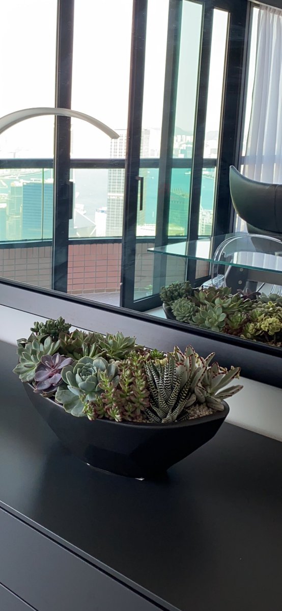 Danny cheng tweet media