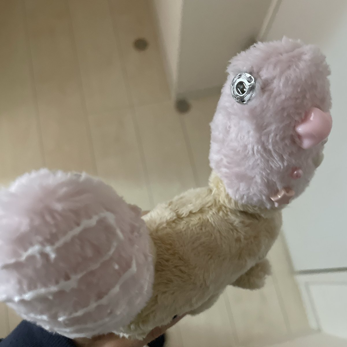 clayencee tweet media