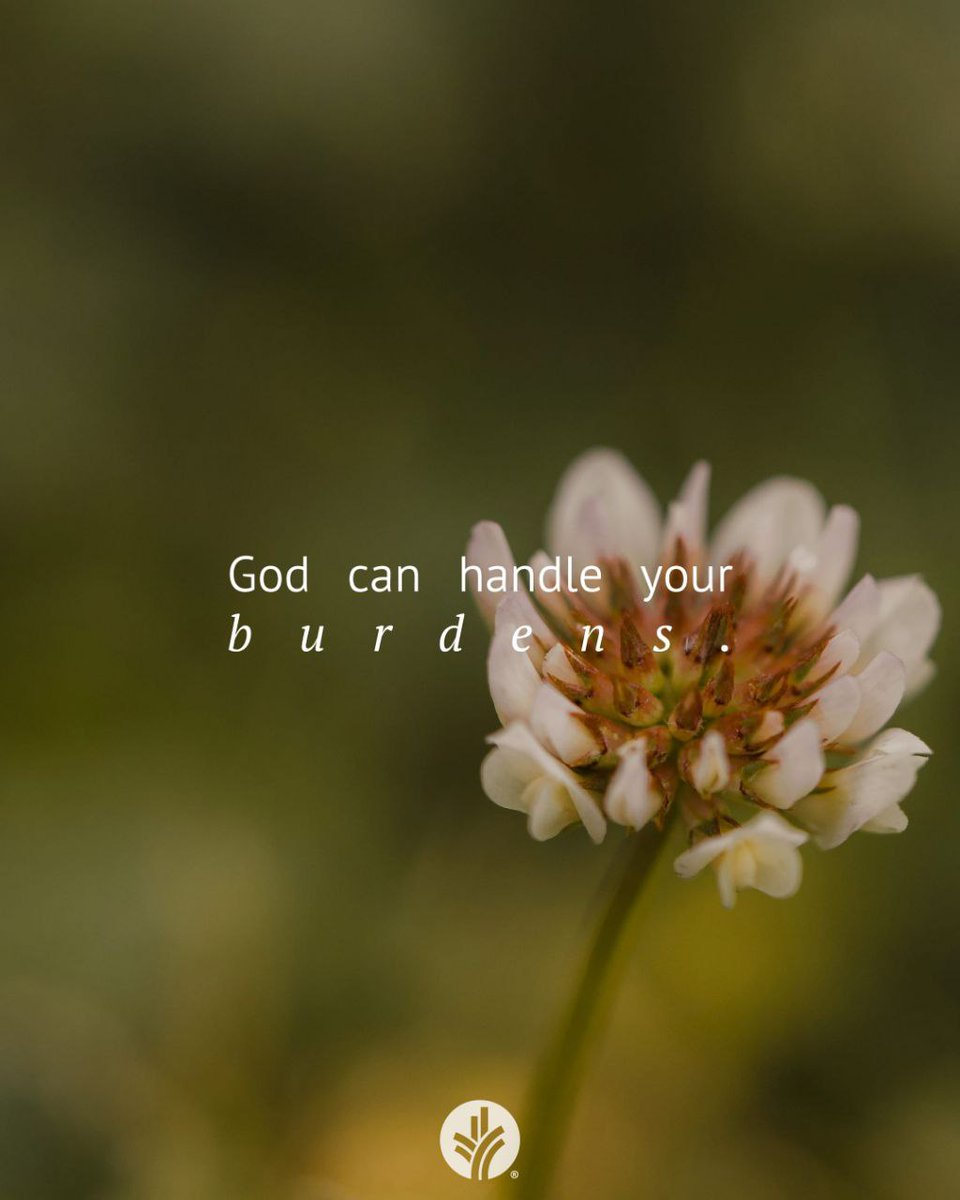 Sam ሳም ⚖️❤️💛💚 ⚖️ tweet media