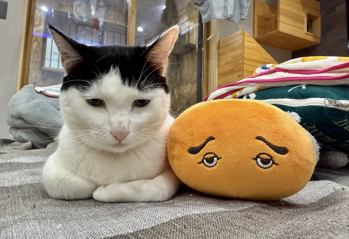 なみそ📕KEN/書籍重版！感謝📙 tweet media