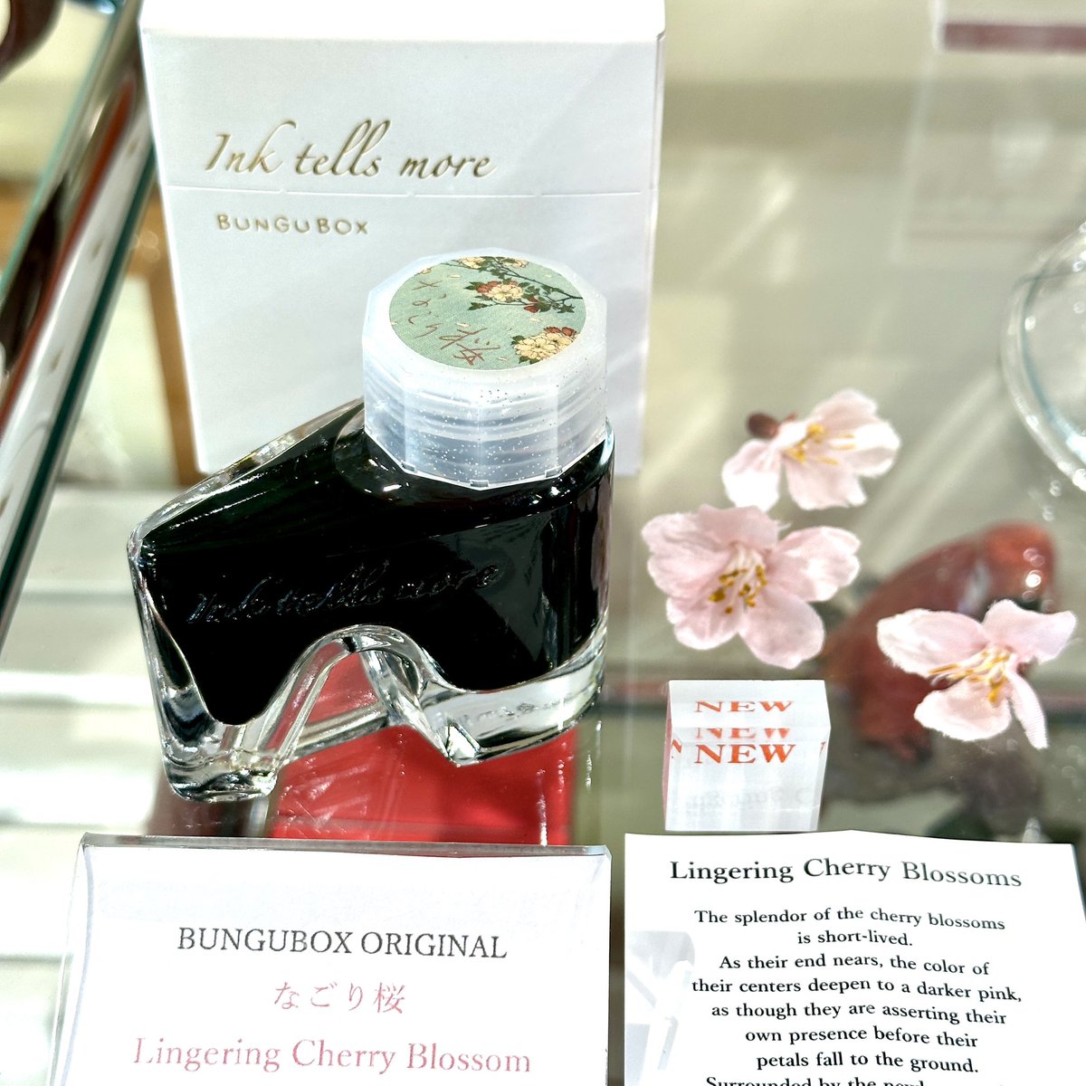 BUNGUBOX ブングボックス tweet media